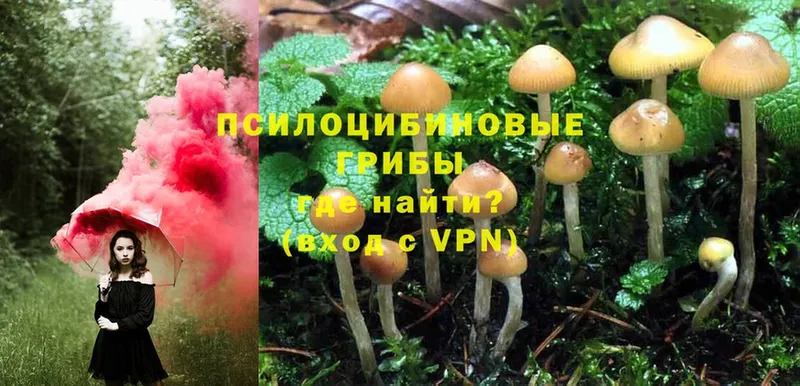 цены наркотик  Железногорск-Илимский  Псилоцибиновые грибы Psilocybe 